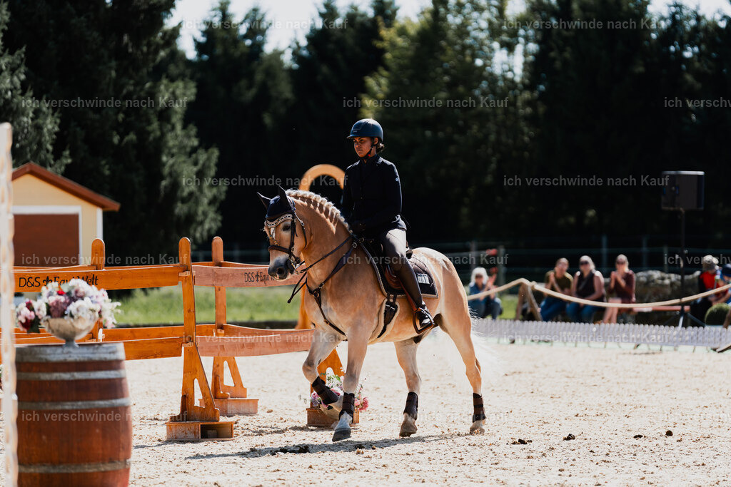 Tanesha5FHC2025-08778 | working equitationturnier fotograf videograf stoibphotography marixx film working equitation deutschland reitsport turnierfotografie eventfotografie equestrian events
