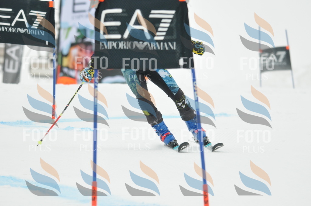 DSC_8215 | holidayphoto