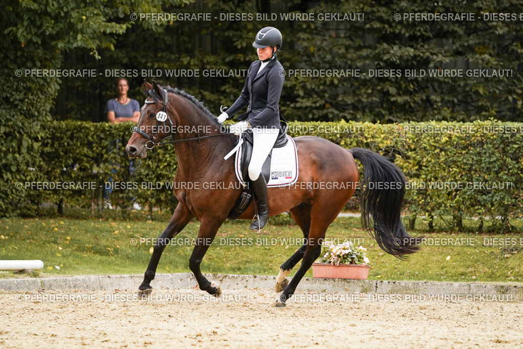 DSC00075 | Pferdegrafie