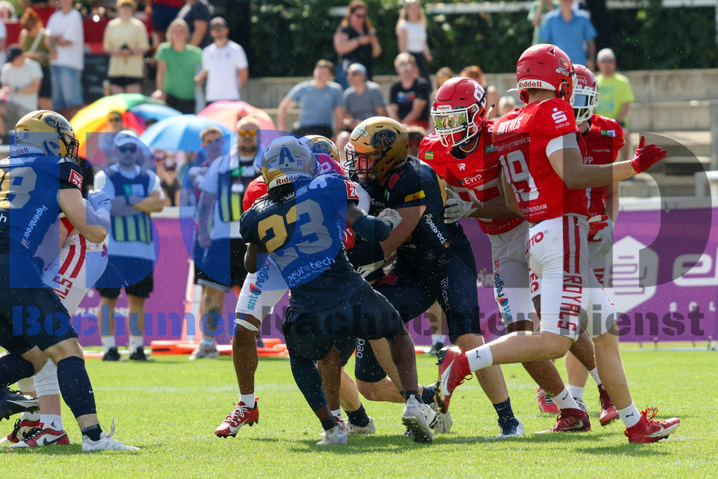GFL: Potsdam Royals vs. Dresden Monarchs{date} -  | {headline}(Foto: Thomas Sobotzki / BOND) - Realisiert mit Pictrs.com