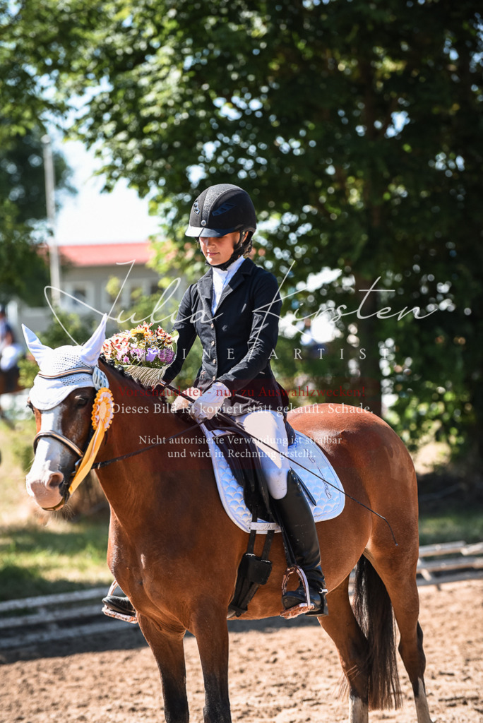DSC_3661 | Pferde- und Turnierfotografie in Westsachsen. Pferdeportraits, Auftragszeichnungen und intuitive Kunst.