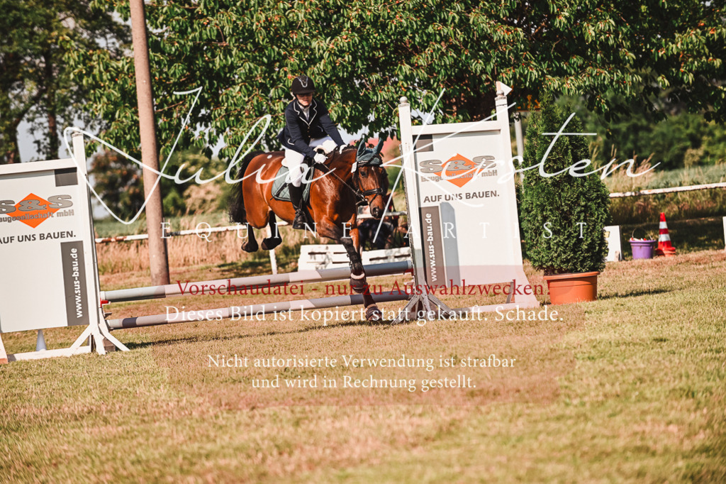 DSC_7358 | Pferde- und Turnierfotografie in Westsachsen. Pferdeportraits, Auftragszeichnungen und intuitive Kunst.