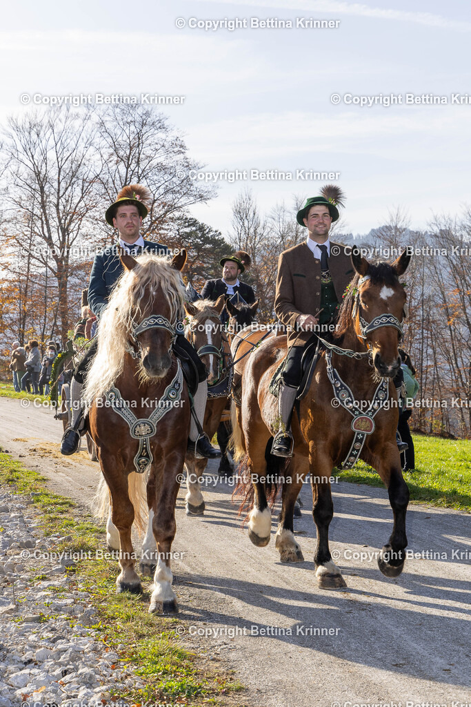 LBT24-1457 | foto-bettina-krinner - Realisiert mit Pictrs.com