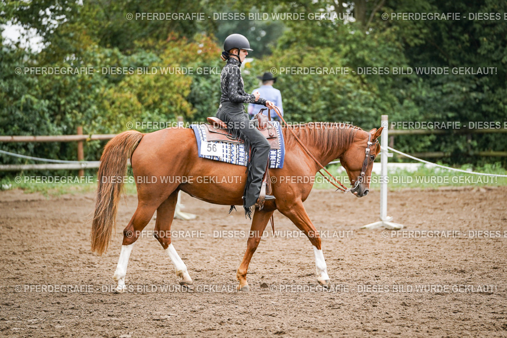 DSC02412 | Pferdegrafie