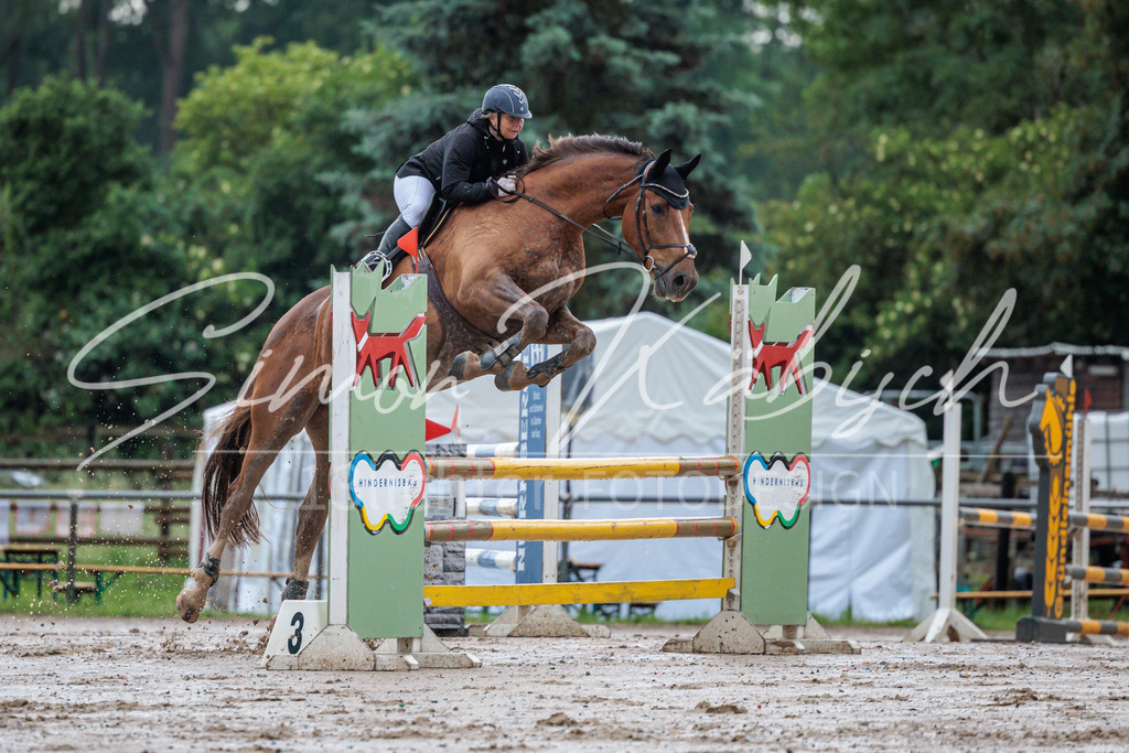 20260531-_3LI3707 | Tierfotografie Pferde, Hunde, Katzen, Haustiere.
Turnierfotografie Reitturniere, Reiten, Springreiten, Dressur in Hanau, dem Main-Kinzig-Kreis und dem Rhein-Main- Gebiet um Frankfurt