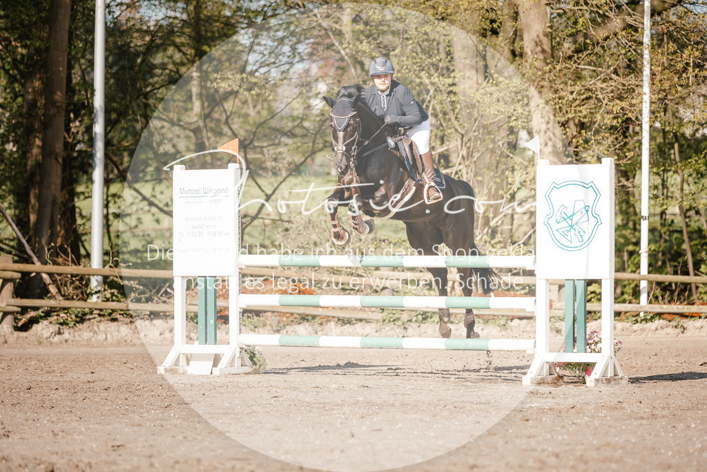 3I6A3561 | Stimmungsvolle Portraits und Reitsportfotografie im Ruhrgebiet und im Münsterland.

Pferdefotografie, Hundefotografie, Tierfotografie, Reportagen, Portraits von Tier und Mensch, Turnierfotografie in Bochum, Recklinghausen, Marl, Haltern am See, Dülmen.. - Realisiert mit Pictrs.com
