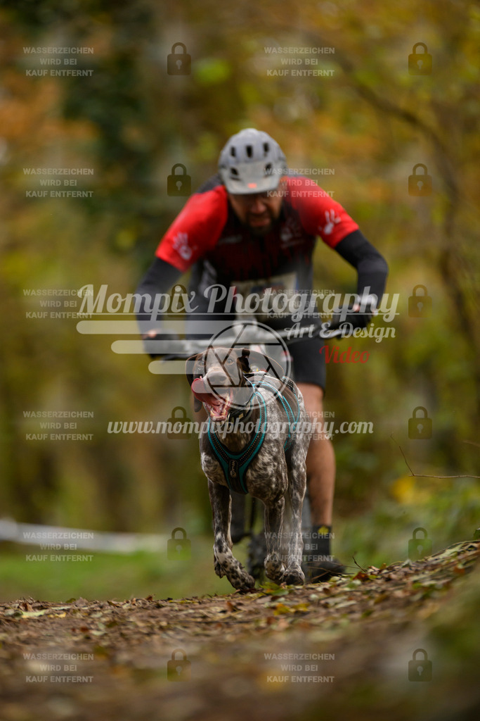 MompixPhotography_Bischwiller24_SA_VTT-19 | PayLife