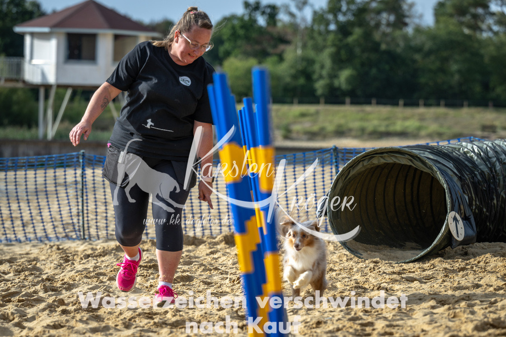 1556_ZZ92512 | kk-dogfotos