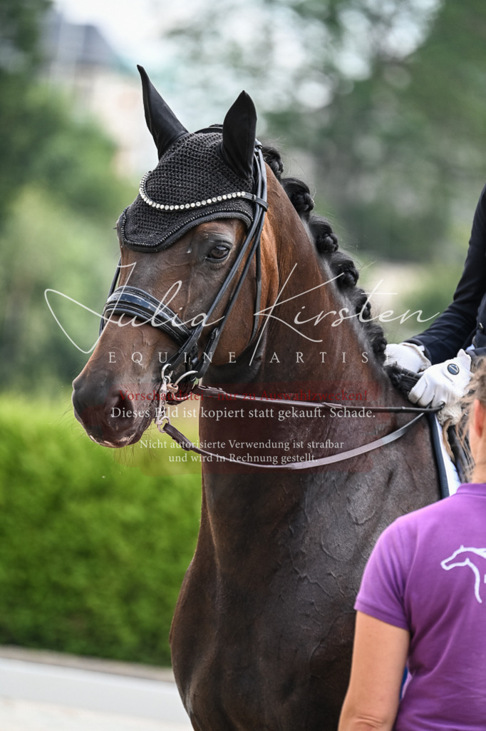 DSC_2659 | Pferde- und Turnierfotografie in Westsachsen. Pferdeportraits, Auftragszeichnungen und intuitive Kunst.