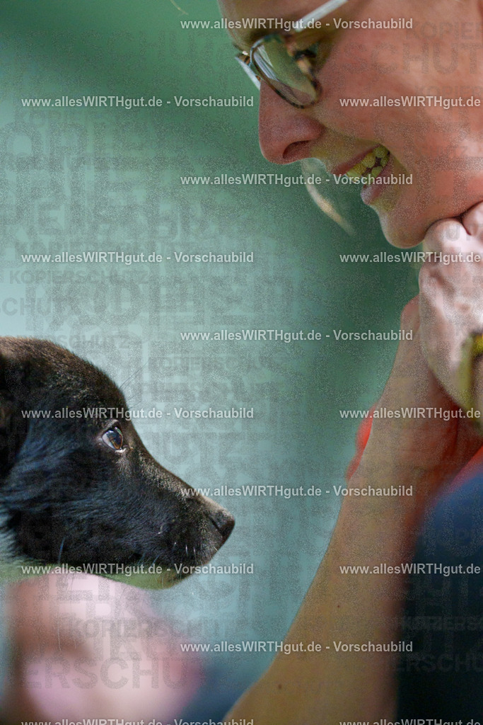 @allesWIRTHgut_Tierfotografie - www.allesWIRTHgut.de - 2604251312-7R503679 | Professionelle Tierfotografie in Mönchengladbach von Daniel Wirth (allesWIRTHgut). Liebevolle & natürliche Bilder von Hunden & Katzen für unvergessliche Erinnerungen.