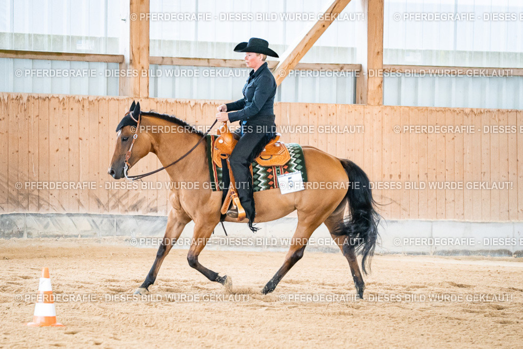 DSC01874 | Pferdegrafie