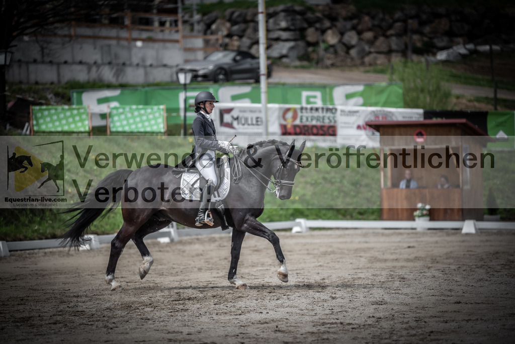 DSC_2690 | equestrian-live-com