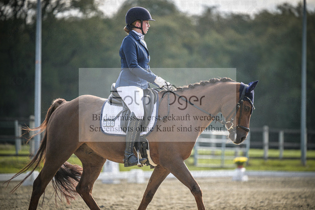 DOS_B162 | Entdecke hochwertige Reitturnierfotos von Foto Oger. Professionell, emotional und authentisch – jetzt Lieblingsmomente im Shop bestellen.Deutschlandweite Turnierfotografie. - Realisiert mit Pictrs.com