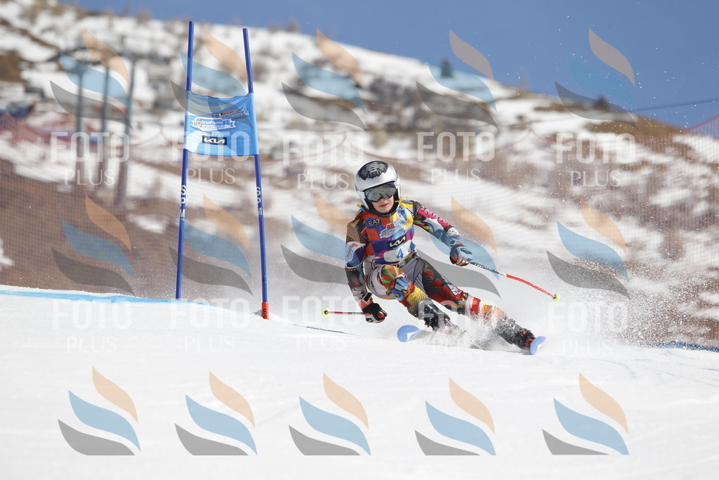 _U3G8538 | holidayphoto