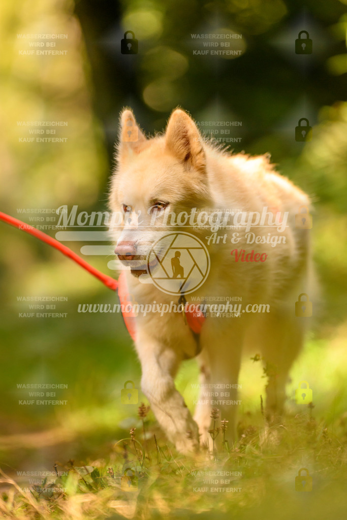 MompixPhotography_Yens2025_B3-3 | PayLife