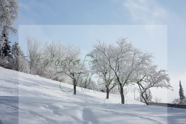 P1030060 | fotografie-jill-carstens