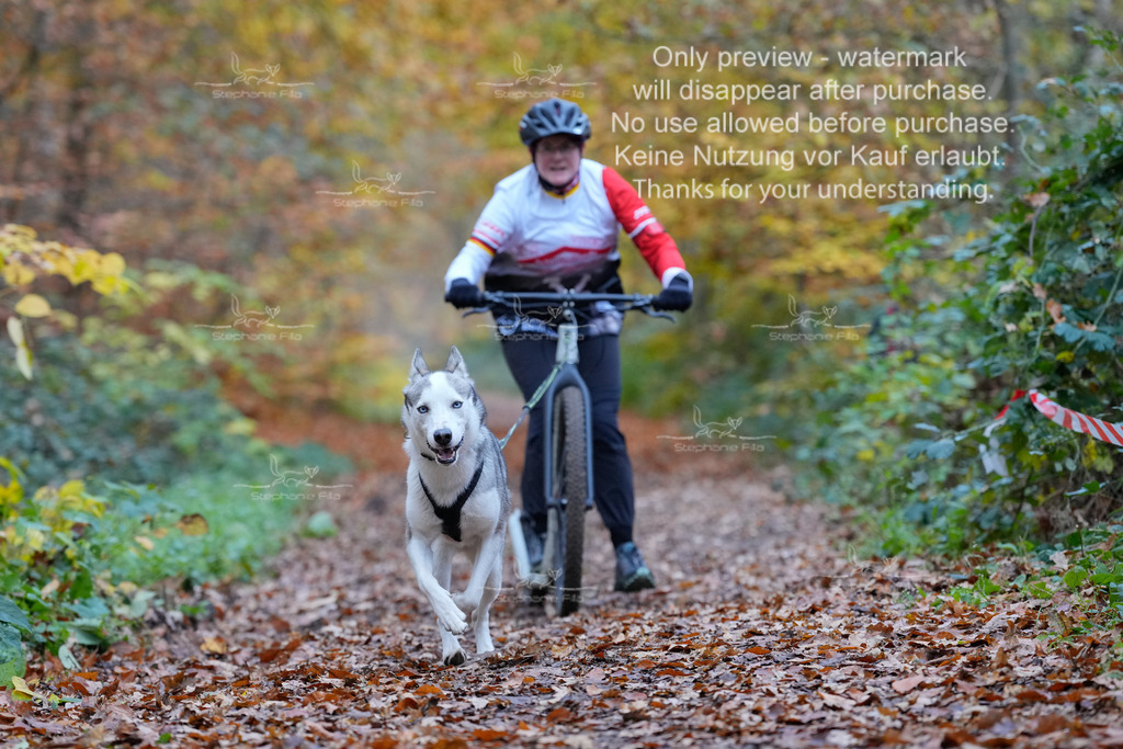 Scooter_So-90 | stephaniefillaphotographie - Realisiert mit Pictrs.com