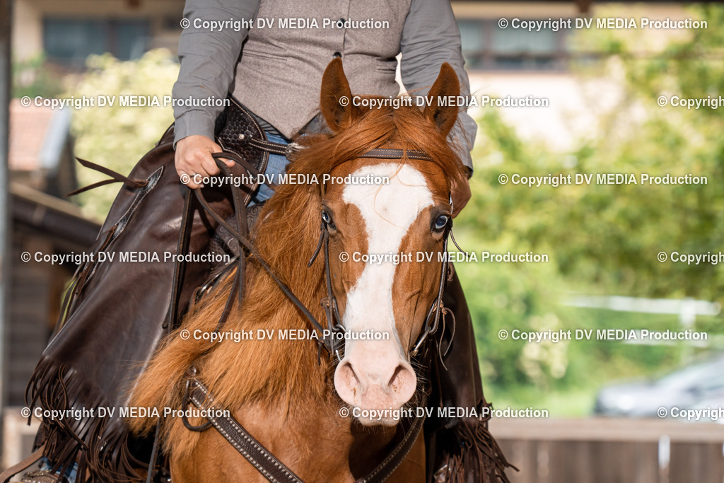 Erbach Tag 2-512 | dv-media-shop - Realisiert mit Pictrs.com