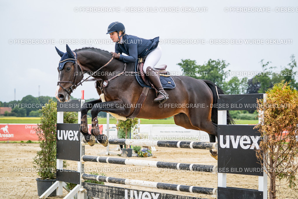 DSC02469 | Pferdegrafie