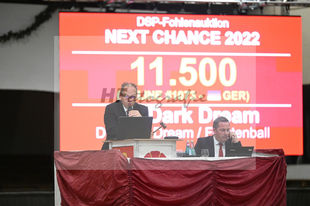 Fohlenauktion Next Chance_49220535 | hf-fotografie - Realisiert mit Pictrs.com