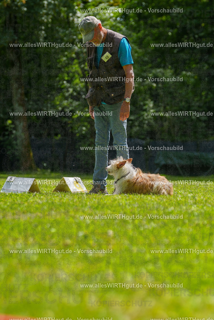 @allesWIRTHgut_Tierfotografie - www.allesWIRTHgut.de - 7R505538 | Professionelle Tierfotografie in Mönchengladbach von Daniel Wirth (allesWIRTHgut). Liebevolle & natürliche Bilder von Hunden & Katzen für unvergessliche Erinnerungen.