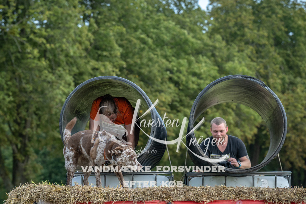 1317_ZZ92787 | kk-dogfotos