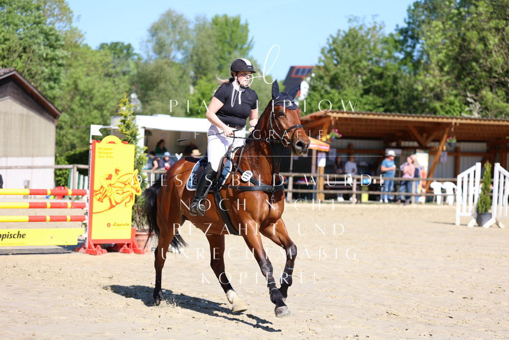 IMGS6720 | pl-fotografie