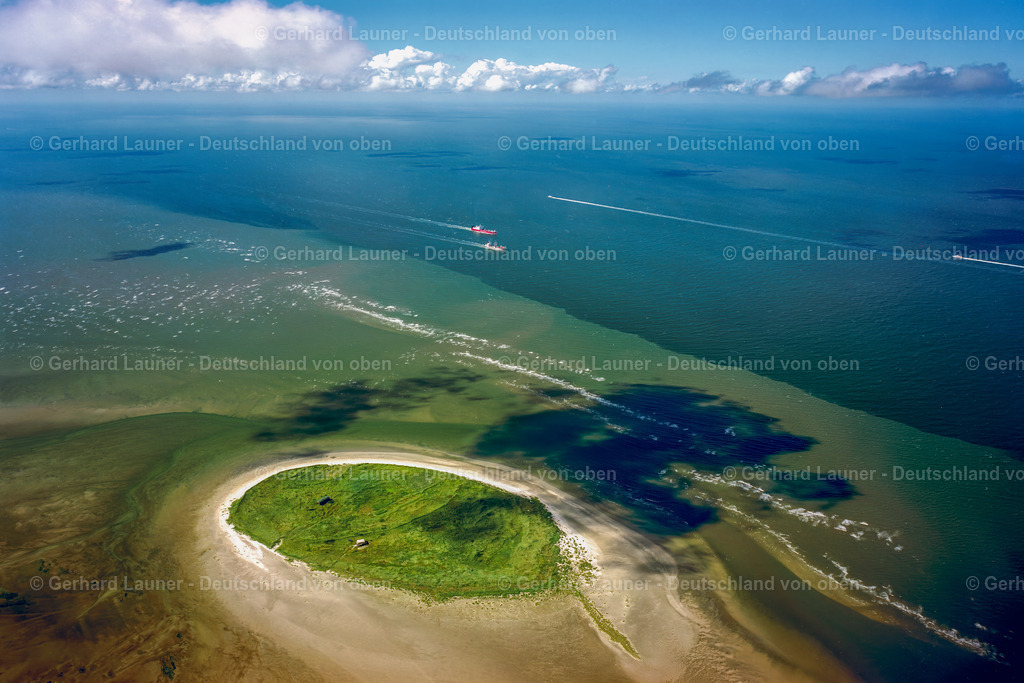 7000912 | Nigehörn Vogelschutzgebiet, Nationalpark Hamburgisches Wattenmeer