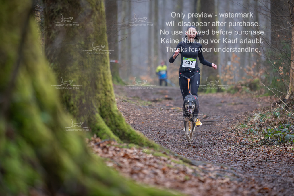 Canix_So-29 | stephaniefillaphotographie - Realisiert mit Pictrs.com