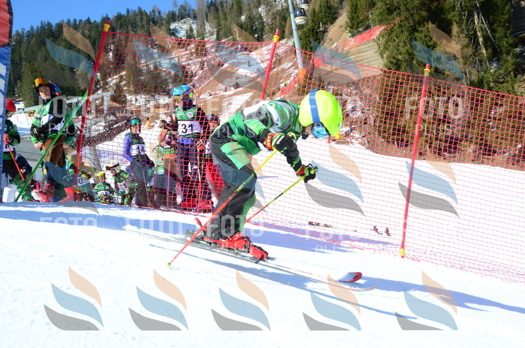 C5607 | holidayphoto