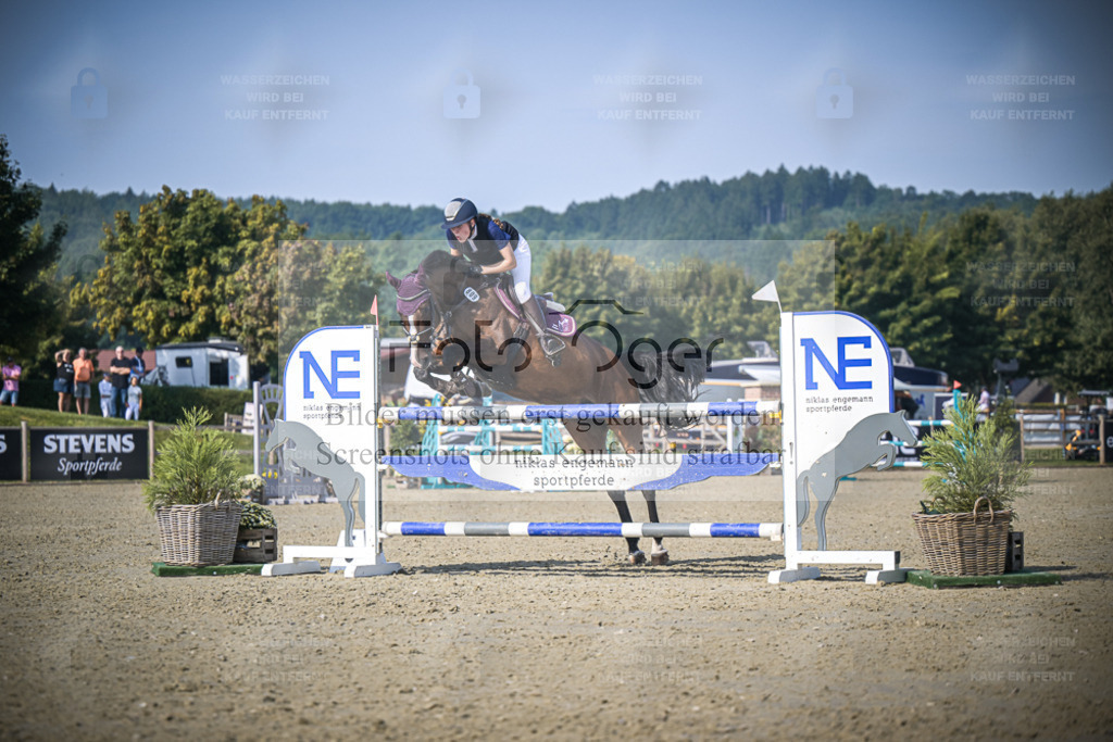 DOS_3475 | Entdecke hochwertige Reitturnierfotos von Foto Oger. Professionell, emotional und authentisch – jetzt Lieblingsmomente im Shop bestellen. - Realisiert mit Pictrs.com