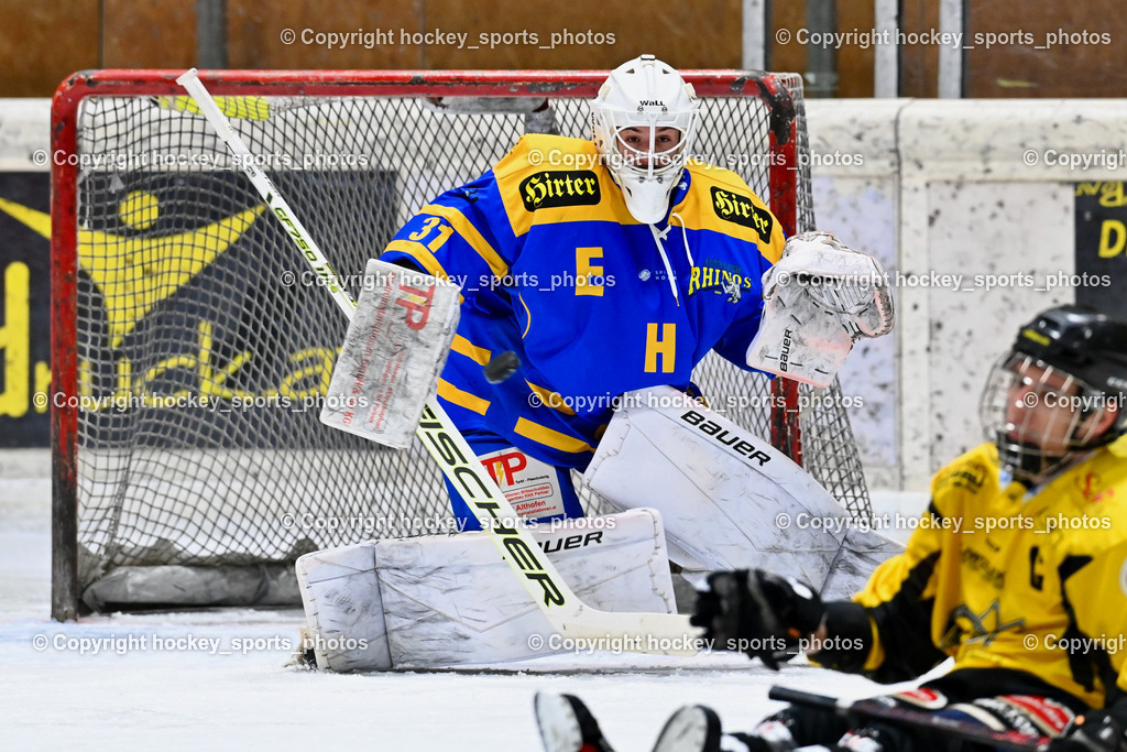 EC Spittal Hornets vs. EHC Althofen 6.1.2024 | #31 Horn Fabian