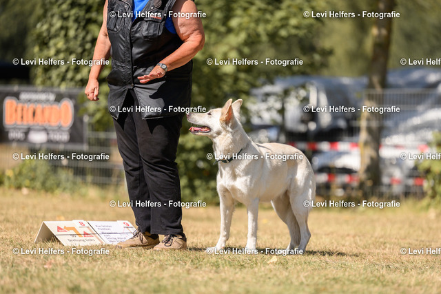 _DSC7212 | levihelfersfotografie