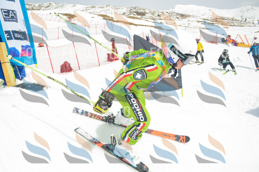 _ELE7934 | holidayphoto