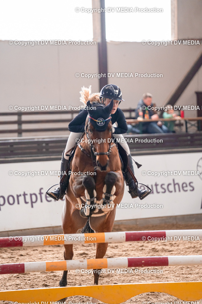 Kranichstein Tag 3-837 | dv-media-shop - Realisiert mit Pictrs.com