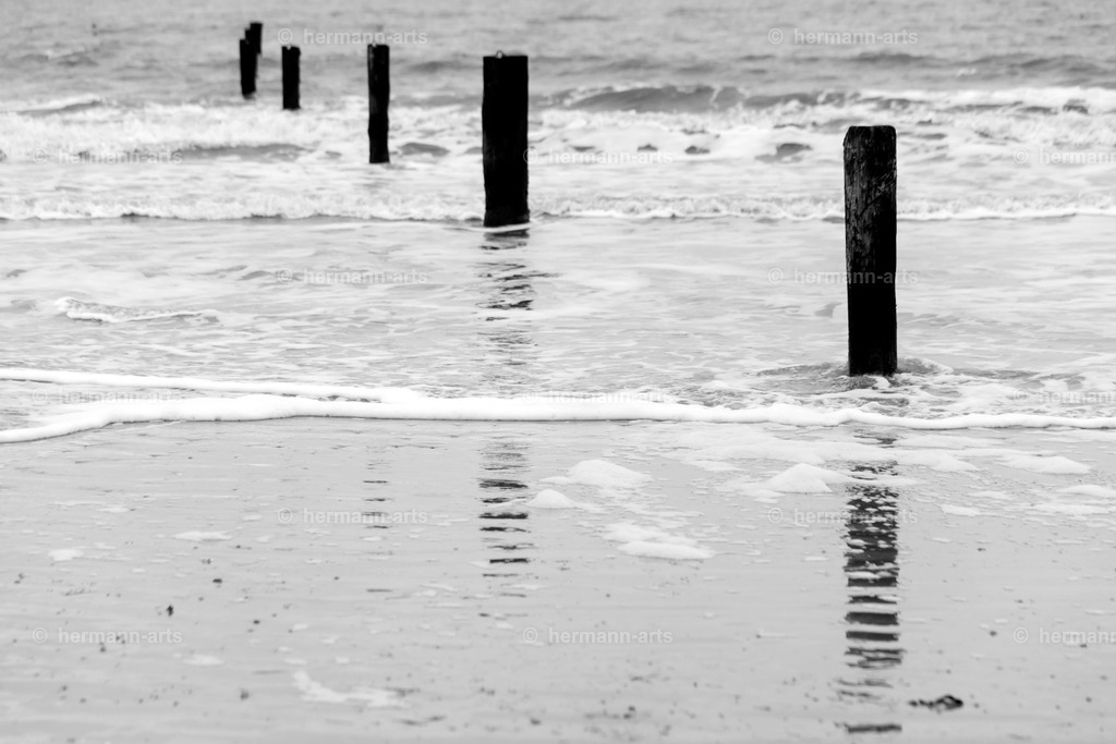 Hermann-Arts_Seaside_137 | Photo Foto Kunst Art schwarzweiss Bilder Rheine Münster Berlin Blumen 