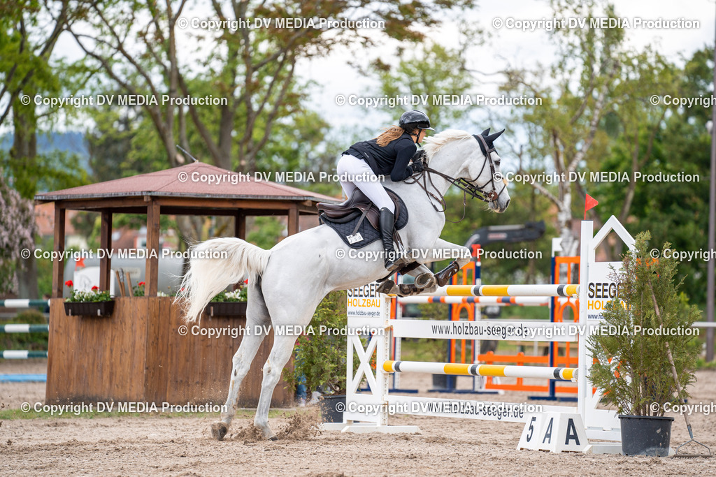 Eppelheim Tag 1-254 | dv-media-shop - Realisiert mit Pictrs.com