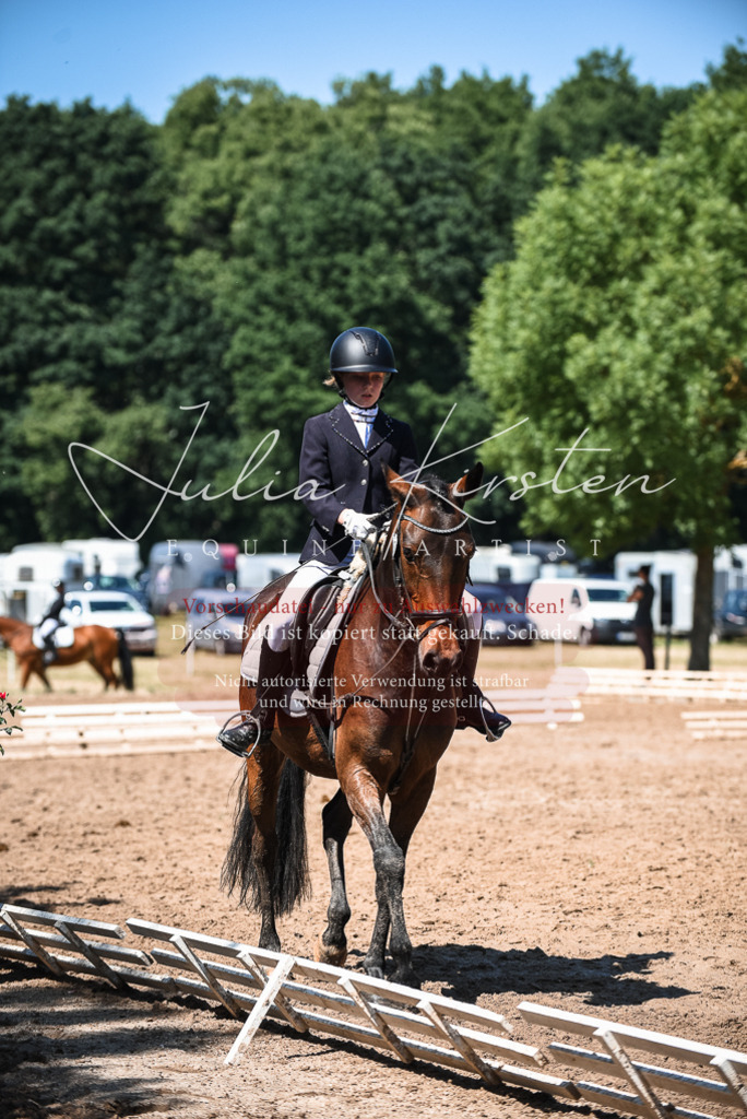 DSC_3328 | Pferde- und Turnierfotografie in Westsachsen. Pferdeportraits, Auftragszeichnungen und intuitive Kunst.