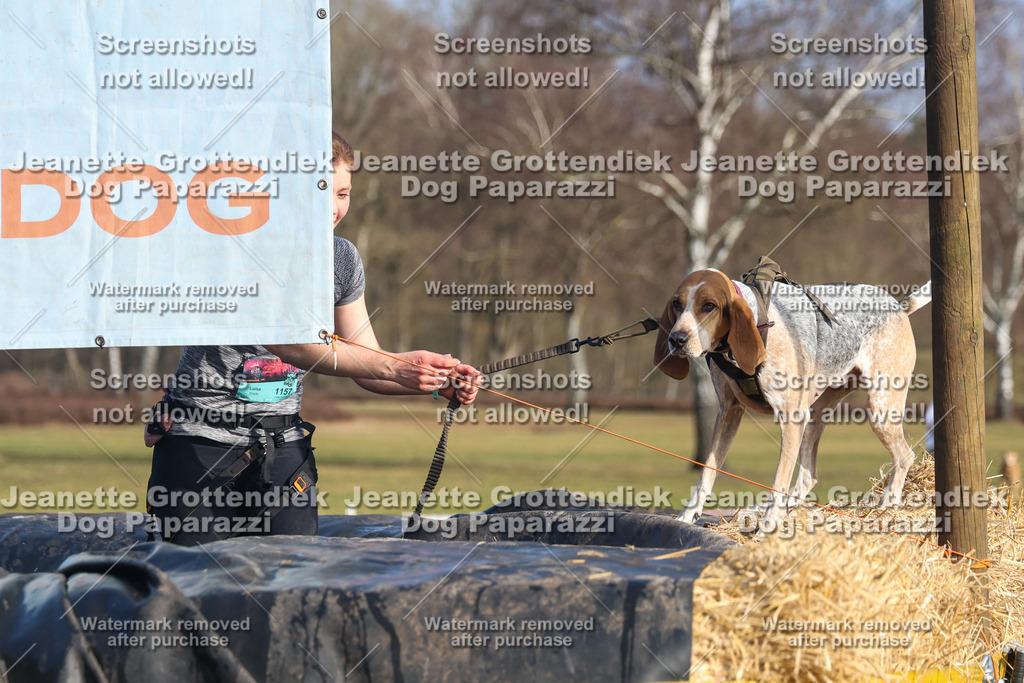 Dog Paparazzi - Strongdog North Mrz26-3351 | Dog Paparazzi Jeanette Grottendiek Fotografie & Videografie - Realisiert mit Pictrs.com