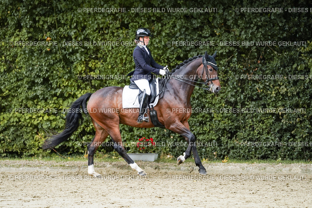 DSC06531 | Pferdegrafie