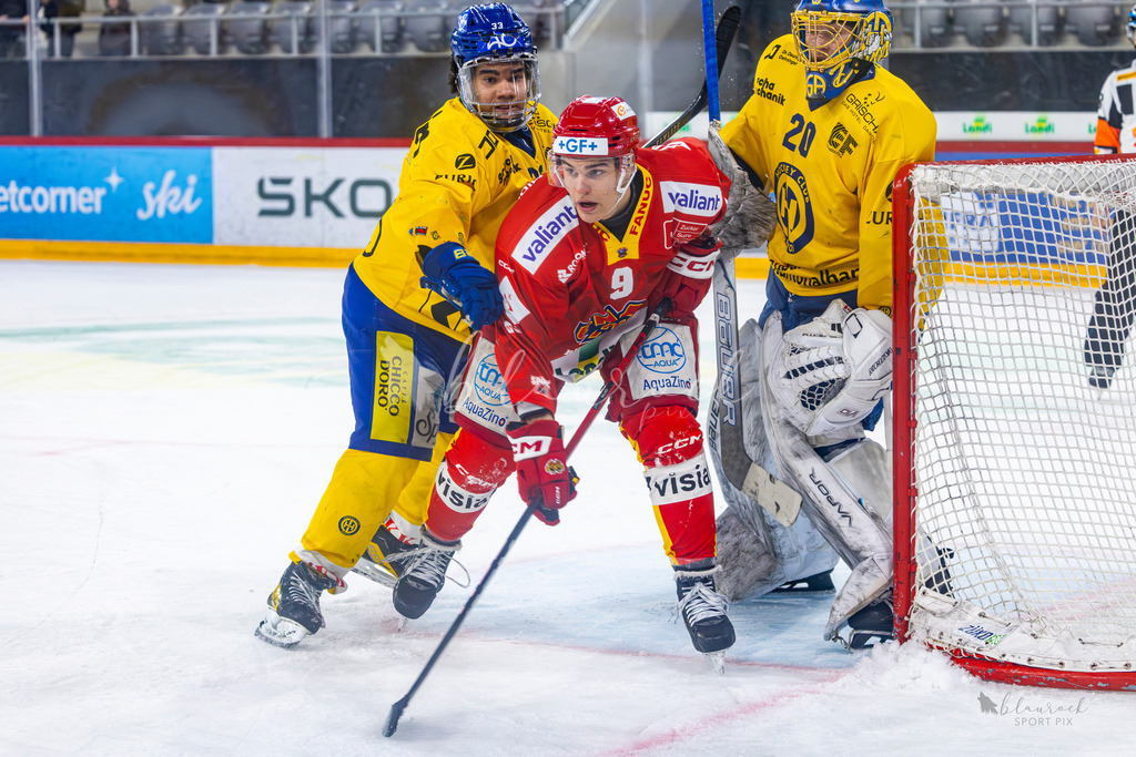 U21_EHCB vs HCD_wb20260308-18 | Sportbilder, Sportfotograf, Hochzeits- und Eventfotografin, Flugshows, Portraits und Tiershooting, Aviation, Downhill, Nationalleague, Swissleague, International