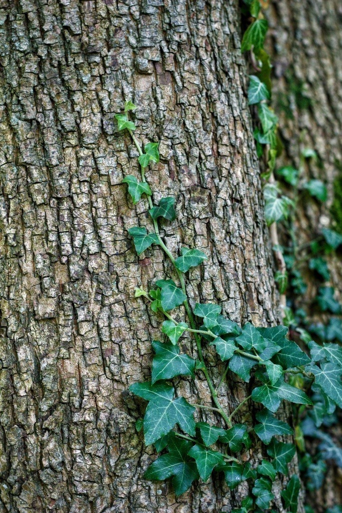 IMG_4111-01 | only.this.little.world - Realisiert mit Pictrs.com