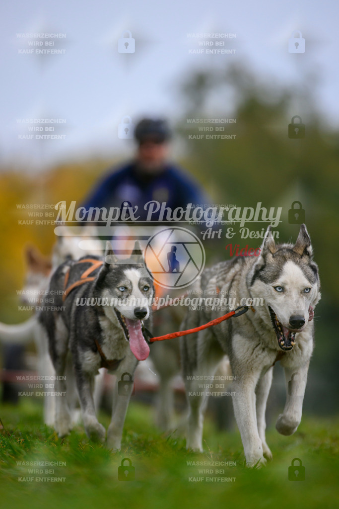 MompixPhotography_CDLBDB2025_DI_Kart-38 | PayLife