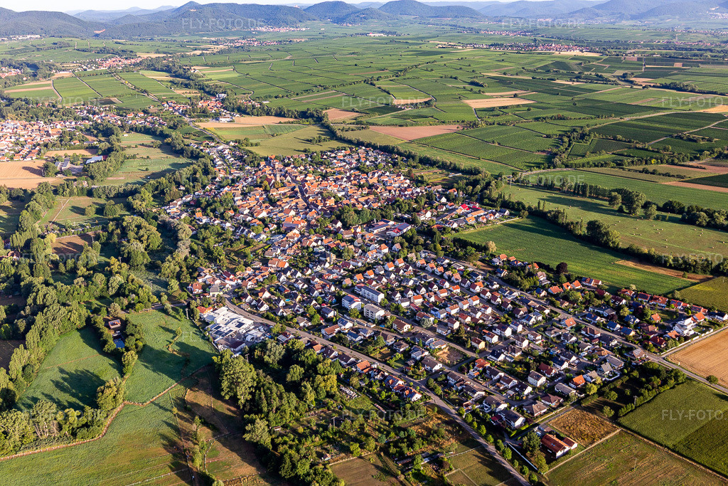Luftbild: Ortsansicht von Südosten im Ortsteil Billigheim in Billigheim-Ingenheim im Bundesland Rheinland-Pfalz in Deutschland. Foto: IMG_116658.jpg vom 11.08.2019 durch Werner Riehm/FLY-FOTO.de