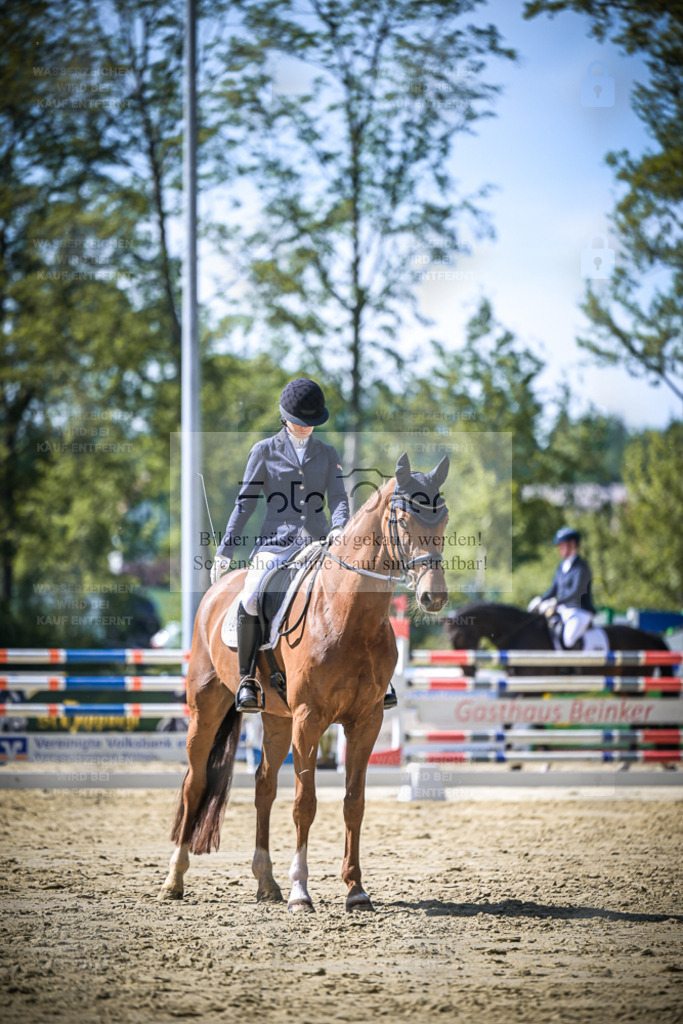 DOS_1276 | Entdecke hochwertige Reitturnierfotos von Foto Oger. Professionell, emotional und authentisch – jetzt Lieblingsmomente im Shop bestellen. - Realisiert mit Pictrs.com