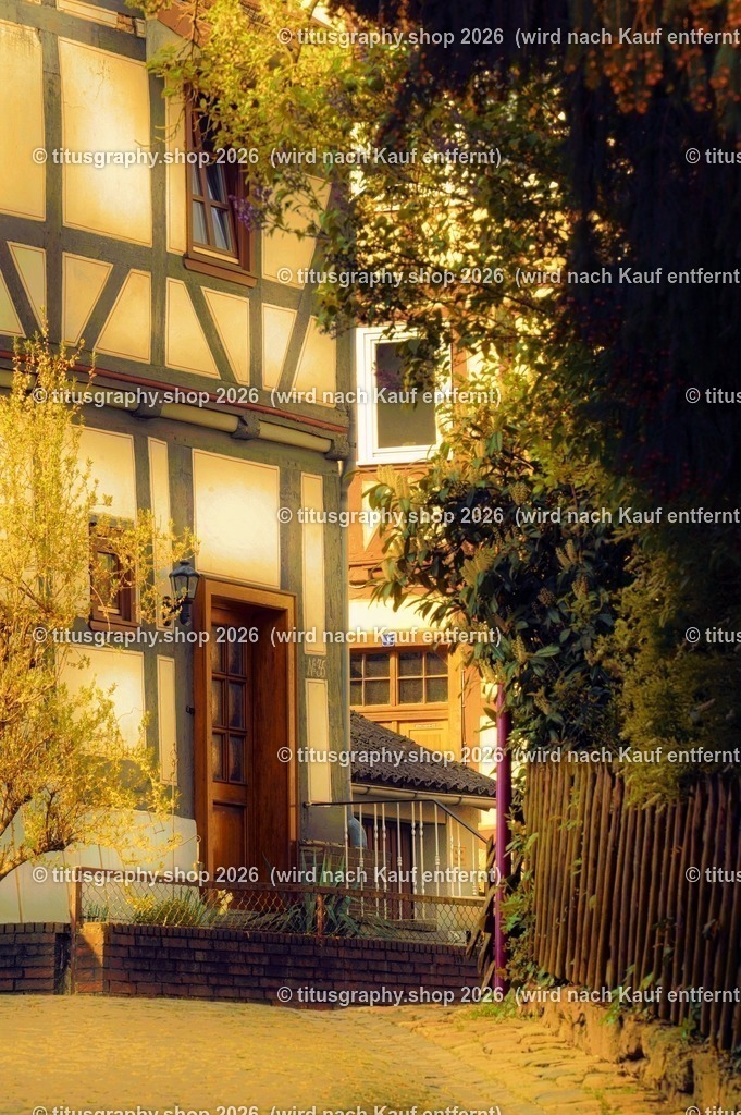 2022-04-29_FT-125_Oberkaufungen_DSC_0425_b-071_pe-05 (Kopie) | titusgraphy-shop: Geschenkideen mit Qualitätsfotos. titusgraphy-shop: gift ideas with quality photos. titusgraphy-shop: idées cadeaux avec photos de qualité.  - Realisiert mit Pictrs.com