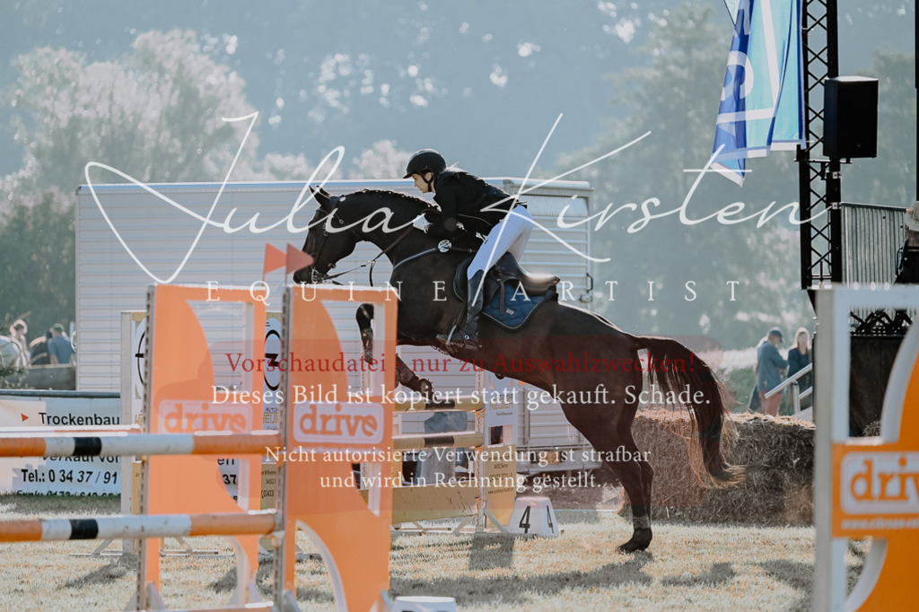 DSC_4324 | Pferde- und Turnierfotografie in Westsachsen. Pferdeportraits, Auftragszeichnungen und intuitive Kunst.