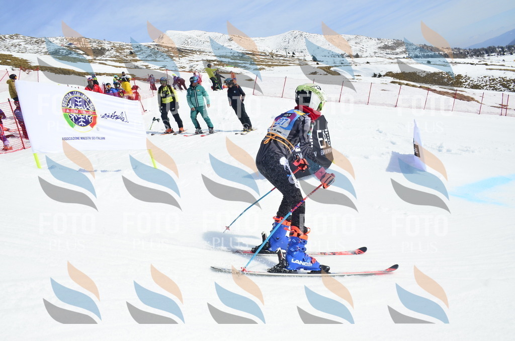 _ELE1609 | holidayphoto