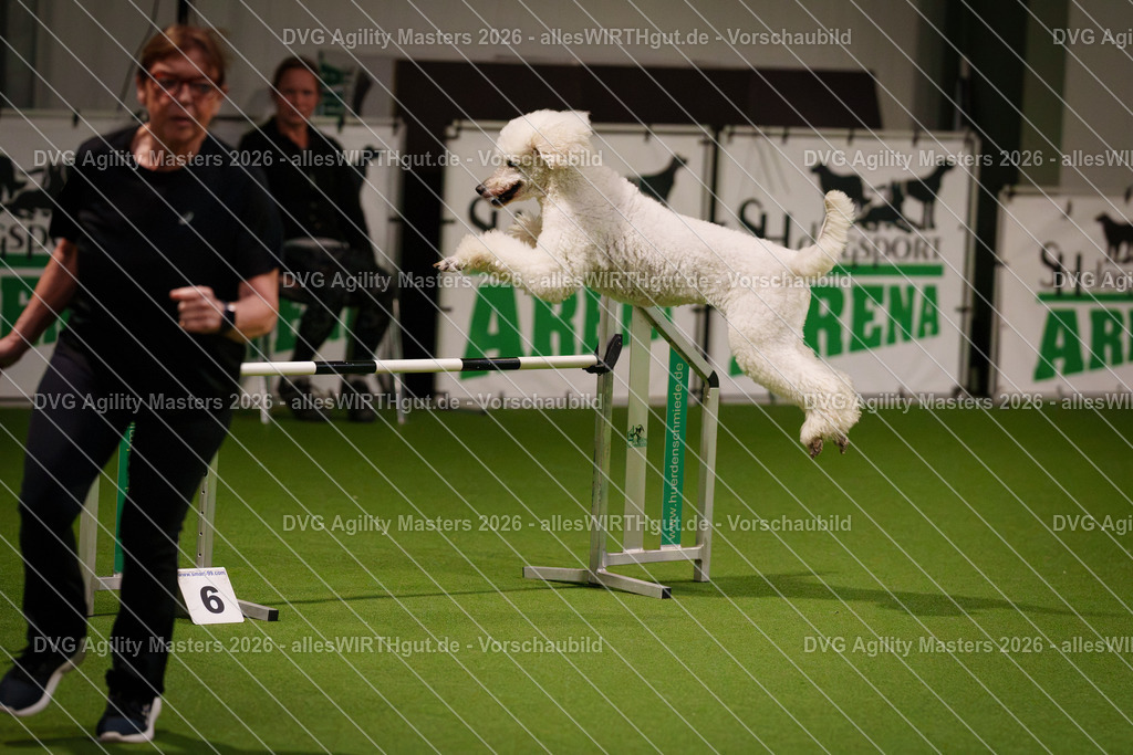 allesWIRTHgut_Tierfotografie-DVG_Agility_Masters_2026-07_36-7R507443 | Professionelle Tierfotografie in Mönchengladbach von Daniel Wirth (allesWIRTHgut). Liebevolle & natürliche Bilder von Hunden & Katzen für unvergessliche Erinnerungen.