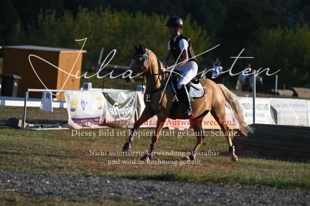 DSC_9236 | Pferde- und Turnierfotografie in Westsachsen. Pferdeportraits, Auftragszeichnungen und intuitive Kunst.